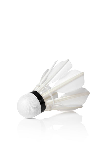 RSL DTL 8A Badminton Shuttlecocks
